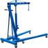 Grue d Atelier 2000 kg - Structure Robuste, Capacité Élevée - Levage Sécurisé et Pratique - BGS