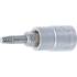 Douille à Embouts Extracteurs de Vis 6,3 mm (1/4) - Pour Profil T Torx Défectueux T15 - Extraction Facile et Précise - D-Work