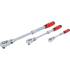 Jeu de Cliquets Extensible Réversible 3 pcs - 6,3 mm à 12,5 mm - Polyvalent et Pratique pour Mécanique - D-Work