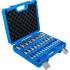 Jeu de Douilles à Embouts 32 pcs - 6,3 mm / 10 mm / 12,5 mm - Six Pans Femelle 2-19 mm, Mètriques et Pouces - D-Work