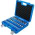 Jeu de Douilles à Embouts 32 pcs - 6,3 mm / 10 mm / 12,5 mm - Six Pans Femelle 2-19 mm, Mètriques et Pouces - Polyvalence - BGS