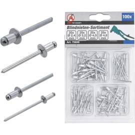 Assortiment de Rivets Pop Ø2,4-4,8 mm - 100 Pièces - Acier Résistant - Fixation Fiable et Rapide - BGS