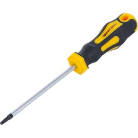 Tournevis Profil T Torx T15 - Lame 100 mm - Précision et Ergonomie, Acier, Zones Difficiles - D-Work