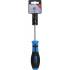 Tournevis Profil T Torx T25 - Lame 100 mm - Acier, Précision et Durabilité - BGS