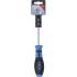 Tournevis Profil T Torx T30 - Lame 100 mm - Acier, Précision et Durabilité - BGS