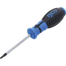 Tournevis Profil T15 avec Perçage - Lame 80 mm - Acier, Précision et Durabilité - D-Work