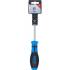 Tournevis Profil T27 avec Perçage - Lame 100 mm - Acier, Précision et Durabilité - - BGS