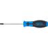 Tournevis Profil T30 avec Perçage - Lame 100 mm - Acier, Précision et Durabilité - - BGS