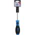 Tournevis Profil T Torx T25 - Lame 100 mm - Acier, Précision et Durabilité - Zones Difficiles - D-Work