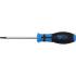 Tournevis Profil T Torx T25 - Lame 100 mm - Acier, Précision et Durabilité - - BGS
