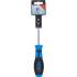 Tournevis Profil T30 avec Perçage - Lame 100 mm - Acier, Précision et Durabilité - - BGS