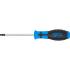 Tournevis Profil T30 avec Perçage - Lame 100 mm - Acier, Précision et Durabilité - - BGS