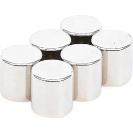 Jeu d’Aimants Extrapuissants Ø9,5 mm - 6 Pièces - Forte Adhérence et Polyvalence - BGS