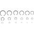 Assortiment de Circlips Intérieurs Ø3-32 mm - 300 Pièces - Acier Résistant - Fixation Sécurisée - BGS