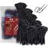 Assortiment de Colliers Plastique Noir 8,0 x 700 mm - Lot de 10 pcs - Fixation Pratique et Résistante - D-Work