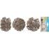 Assortiment de Chevilles 400 pcs - Diamètres 5, 6, 8 mm - Polyamide Résistant - Fixation Fiable et Polyvalente - D-Work