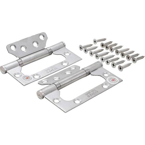 Jeu de Charnières Acier Inoxydable 2 pièces 100x50 mm - Montage Compact - Résistance et Durabilité - BGS