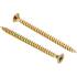Vis Multifonctions Cruciforme PZ2 4x60 mm - Lot de 100 Pièces - Acier Résistant et Polyvalent - BGS