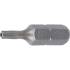 Embout Torx T10 25 mm - 6,3 mm (1/4) Profil T - Précision et Compatibilité, Acier - D-Work