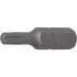 Embout Torx T20 25 mm - 6,3 mm (1/4) Profil T - Précision et Compatibilité, Acier - D-Work
