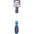 Tournevis Six Pans Intérieurs 3 mm - Lame 100 mm - Précision et Robustesse - BGS