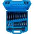 Coffret d Extracteurs à Frapper XXL 21 pcs - Acier Résistant - Déblocage Facile et Rapide, Pro - D-Work
