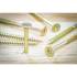 Vis Multifonctions Profil en T Torx T25 5x80 mm - Lot de 50 - Acier Résistant et Polyvalent - Fixation Fiable et Durable - BGS