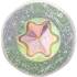 Vis Multifonctions Profil en T Torx T25 5 x 80 mm - Lot de 50 - Acier Résistant et Polyvalent - Fixation Fiable - D-Work