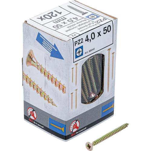 Vis Multifonctions Cruciforme PZ2 4 x 50 mm - Lot de 120 pcs - Acier Résistant et Polyvalent, Plastique - D-Work