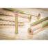 Vis Multifonctions Cruciforme PZ2 5 x 80 mm - Lot de 50 pcs - Acier, Résistantes et Polyvalentes - D-Work