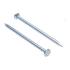 Assortiment de Clous 250 g 2,8 x 60 mm - Acier, Résistants et Polyvalents - BGS