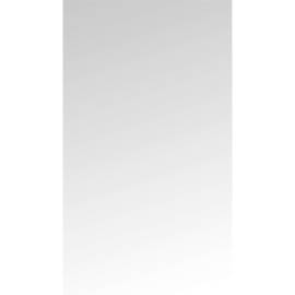 Film Protecteur pour Art. 8841 - 30,6x3,8x57,5 cm - Transparent, Léger et Résistant - - BGS