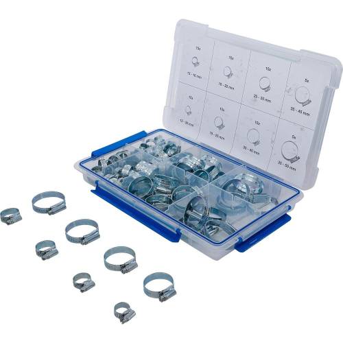 Assortiment de 80 Colliers de Tuyau Flexible - Acier Inoxydable - Fixation Solide et Durable - BGS