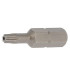 Embout Torx 20 mm pour vis inviolables - Inox - Résistant et durable - ACTON 