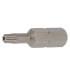 1 Embout Torx pour Vis Inviolable 25 mm - Inox - D-Work