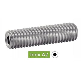 100 Vis Sans Tête Six Pans Creux Bout Plat 2.5 x 6 mm - ISO 4026 - DIN 913 - NFE27-180 - UNI 5923 - Inox A2 - D-Work