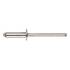 250 Rivets Aveugles Tête Plate Tout Inox 4.8 x 16 mm - ISO 15983 - DIN 7337 - Inox A2 - D-Work