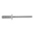 500 Rivets Aveugles Tête Plate Alu/Inox 3.2 x 10 mm - Inox A2 - D-Work