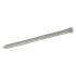 Pointe Tête Homme CDT250G 1.6 x 30 mm - Inox A2 - D-Work