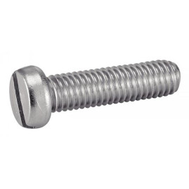200 Vis à Métaux Tête Cylindrique Fendue 6 x 20 mm - DIN 84 - ISO 1207 - NFE25-127 - UNI 6107 - Inox A4 - D-Work