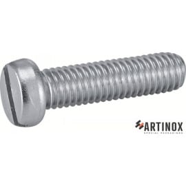 100 Vis à Métaux Tête Cylindrique Fendue 3 x 6 mm - DIN 84 - ISO 1207 - NFE25-127 - UNI 6107 - Inox A2 - D-Work