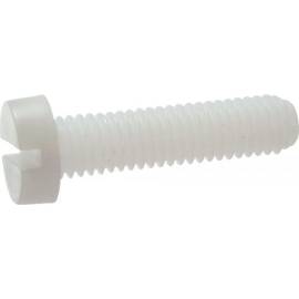200 Vis Tête Cylindrique Fendue 6 x 10 mm - TYPE DIN 84 - ISO 1207 - NFE25-127 - UNI 6107 - Nylon 6.6 - D-Work