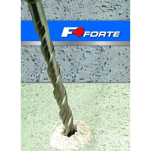 Foret Pour Marteau Perforateur SDS-Plus 10x110 mm - 2 Tranchants - F4 Forte - ALPEN-MAYKESTAG