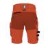 Bermuda de Travail Hall - Taille 50 - Terracotta - Résistant et Confortable - D-Work