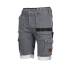 Bermuda de Travail Bolt - Taille 52 - Gris - Résistant et Confortable - D-Work