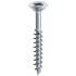 100 Vis à Bois Tête Large Bombée D.6 x 300 mm – Galvanisées, TX 30 – Fixation Solide et Durable - ALSAFIX