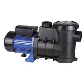 Pompe Eau PPE 0,16 CV Monophasé 5 m3/h - Entrée de Gamme - Fiable et Performante - D-Work