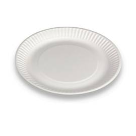 250 Assiettes Rectangulaires Jetables en Carton Blanches 13 x 20 cm pour Dessert, Buffet, Traiteur et Fêtes - D-Work