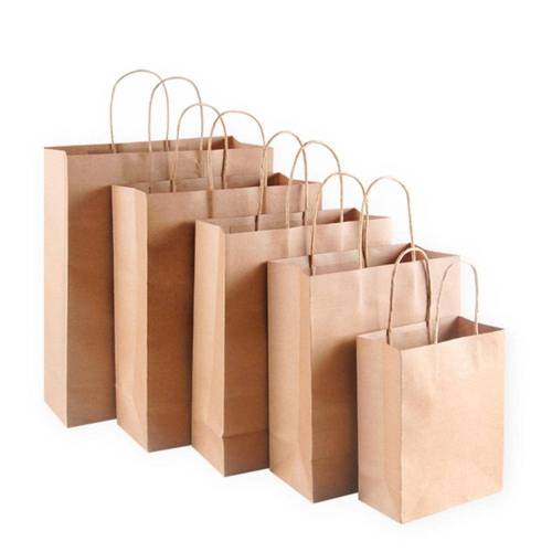 Lot de 5 Sacs en Papier – Pratiques et Écologiques – Idéal pour le Transport - RIBIMEX
