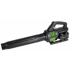 Souffleur Pro R-BAT20 40V – 2 Batteries 20V 2 Amp + Chargeur – Performance Élevée et Autonomie – RIBIMEX - RIBIMEX